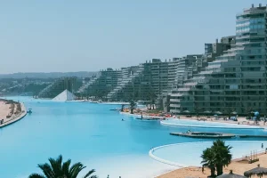 algarrobo1